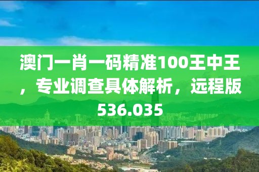 澳门一肖一码精准100王中王，专业调查具体解析，远程版536.035