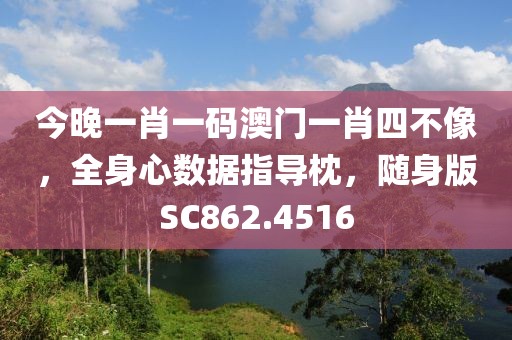 今晚一肖一码澳门一肖四不像，全身心数据指导枕，随身版SC862.4516