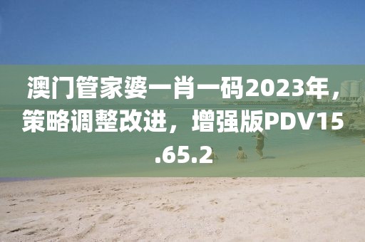 澳门管家婆一肖一码2023年，策略调整改进，增强版PDV15.65.2