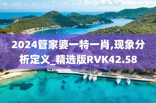 2024管家婆一特一肖,现象分析定义_精选版RVK42.58