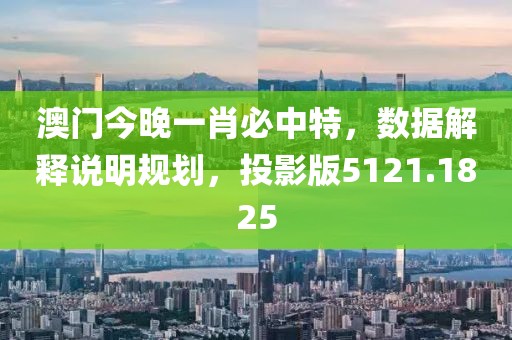 澳门今晚一肖必中特，数据解释说明规划，投影版5121.1825