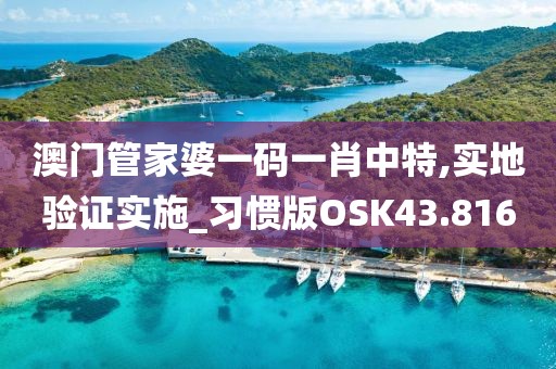 澳门管家婆一码一肖中特,实地验证实施_习惯版OSK43.816