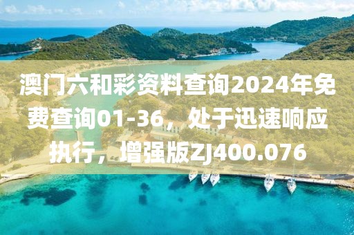 澳门六和彩资料查询2024年免费查询01-36，处于迅速响应执行，增强版ZJ400.076