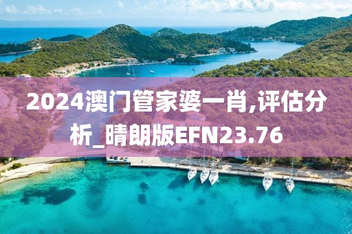 2024澳门管家婆一肖,评估分析_晴朗版EFN23.76