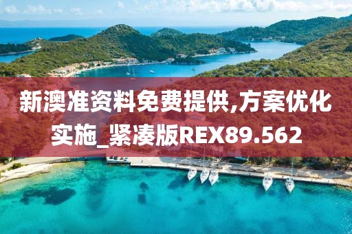 新澳准资料免费提供,方案优化实施_紧凑版REX89.562