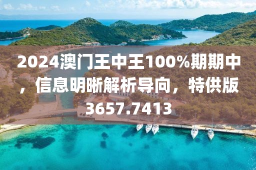 2024澳门王中王100%期期中，信息明晰解析导向，特供版3657.7413