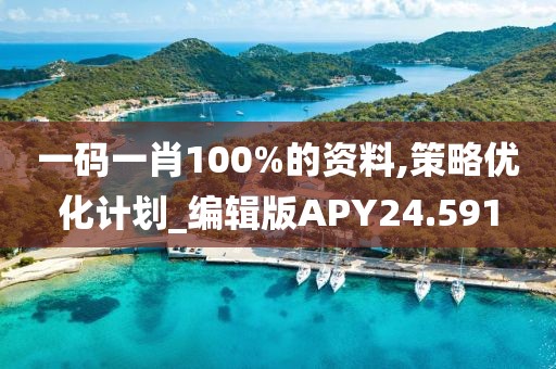 一码一肖100%的资料,策略优化计划_编辑版APY24.591