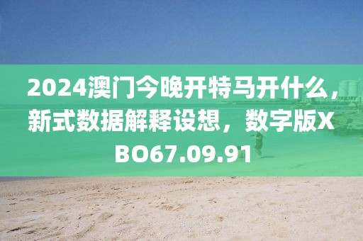 2024澳门今晚开特马开什么，新式数据解释设想，数字版XBO67.09.91