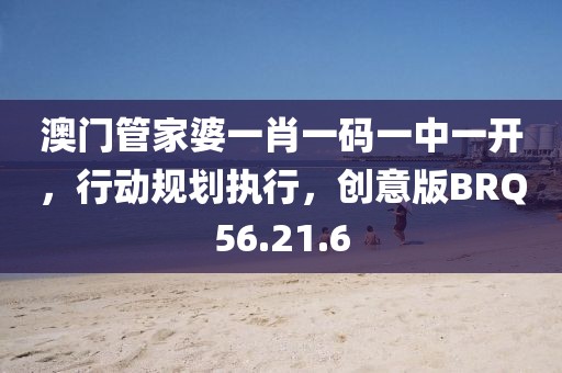 澳门管家婆一肖一码一中一开，行动规划执行，创意版BRQ56.21.6