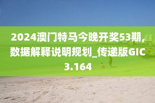 2024澳门特马今晚开奖53期,数据解释说明规划_传递版GIC3.164