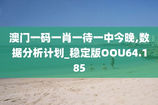澳门一码一肖一待一中今晚,数据分析计划_稳定版OOU64.185