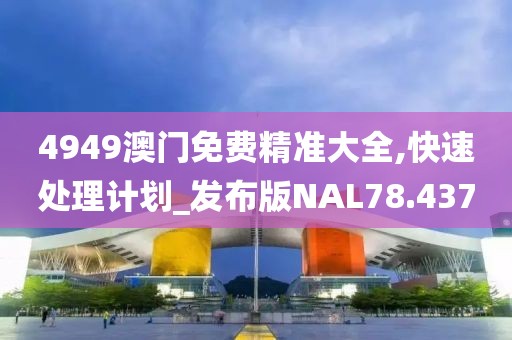 4949澳门免费精准大全,快速处理计划_发布版NAL78.437