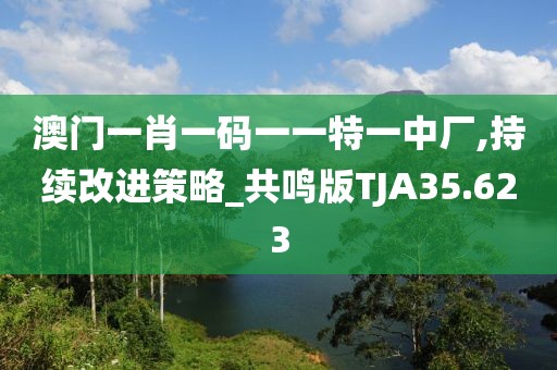 澳门一肖一码一一特一中厂,持续改进策略_共鸣版TJA35.623