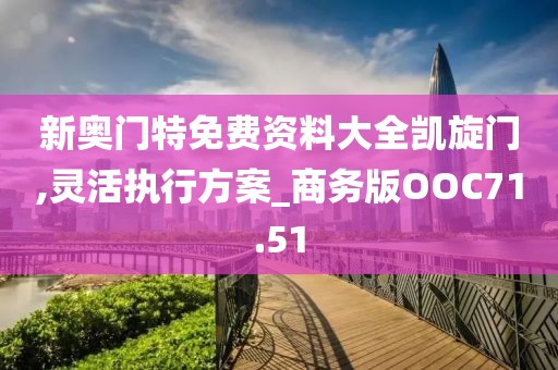 新奥门特免费资料大全凯旋门,灵活执行方案_商务版OOC71.51
