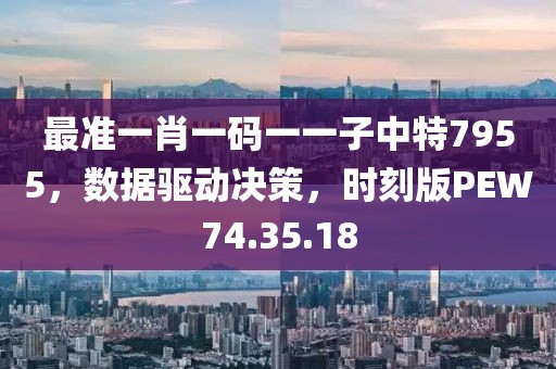 最准一肖一码一一子中特7955，数据驱动决策，时刻版PEW74.35.18