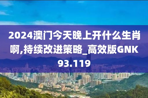 2024澳门今天晚上开什么生肖啊,持续改进策略_高效版GNK93.119