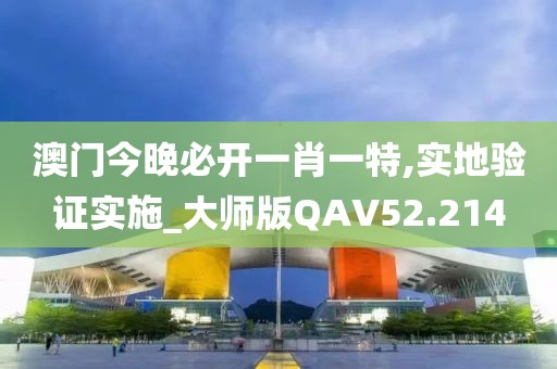 澳门今晚必开一肖一特,实地验证实施_大师版QAV52.214