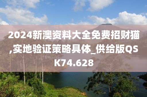 2024新澳资料大全免费招财猫,实地验证策略具体_供给版QSK74.628
