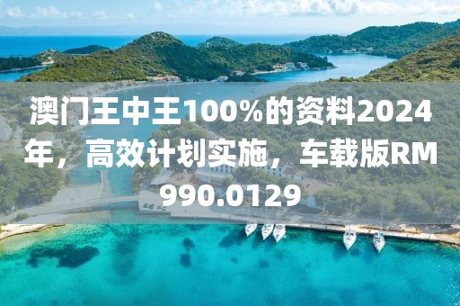 澳门王中王100%的资料2024年，高效计划实施，车载版RM990.0129