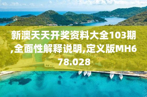 新澳天天开奖资料大全103期,全面性解释说明,定义版MH678.028