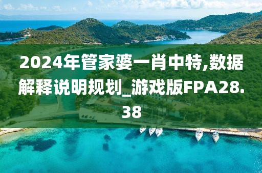 2024年管家婆一肖中特,数据解释说明规划_游戏版FPA28.38