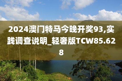 2024澳门特马今晚开奖93,实践调查说明_轻奢版TCW85.628