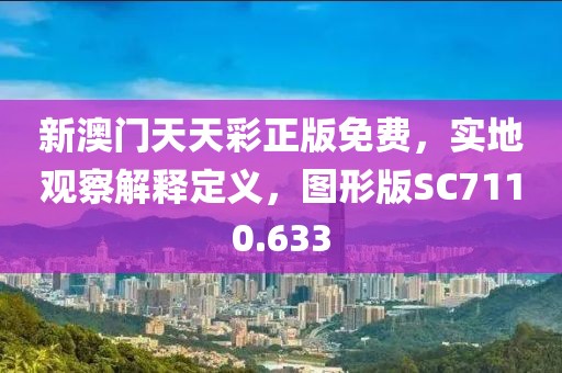 新澳门天天彩正版免费，实地观察解释定义，图形版SC7110.633
