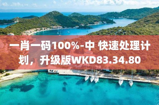 一肖一码100%-中 快速处理计划，升级版WKD83.34.80