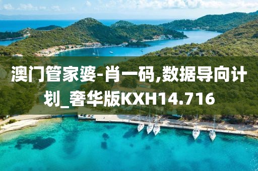 澳门管家婆-肖一码,数据导向计划_奢华版KXH14.716