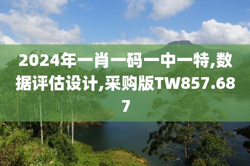 2024年一肖一码一中一特,数据评估设计,采购版TW857.687