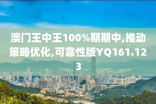 澳门王中王100%期期中,推动策略优化,可靠性版YQ161.123