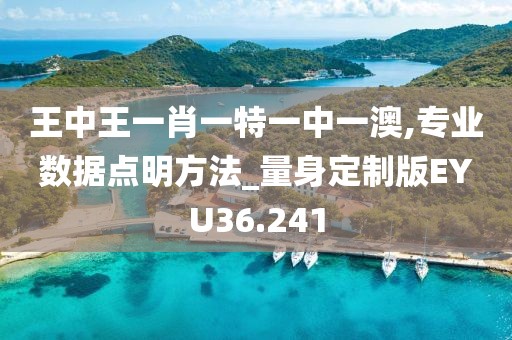 王中王一肖一特一中一澳,专业数据点明方法_量身定制版EYU36.241