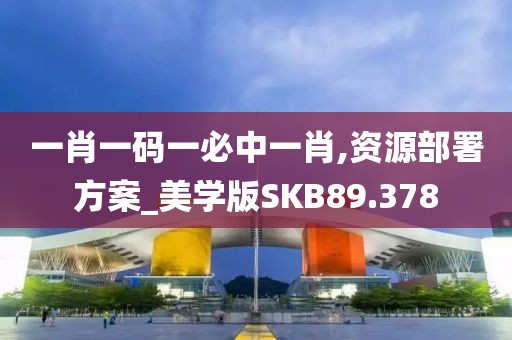 一肖一码一必中一肖,资源部署方案_美学版SKB89.378