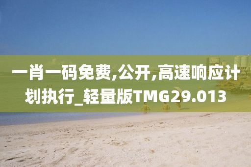 一肖一码免费,公开,高速响应计划执行_轻量版TMG29.013