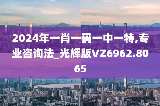 2024年一肖一码一中一特,专业咨询法_光辉版VZ6962.8065