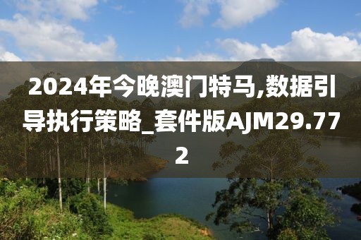 2024年今晚澳门特马,数据引导执行策略_套件版AJM29.772