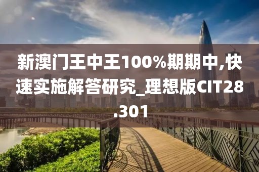 新澳门王中王100%期期中,快速实施解答研究_理想版CIT28.301
