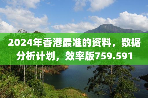 2024年香港最准的资料，数据分析计划，效率版759.591