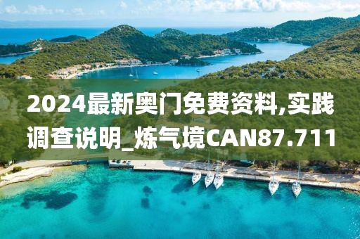 2024最新奥门免费资料,实践调查说明_炼气境CAN87.711