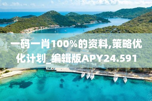 一码一肖100%的资料,策略优化计划_编辑版APY24.591
