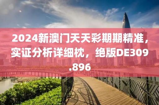 2024新澳门天天彩期期精准，实证分析详细枕，绝版DE309.896