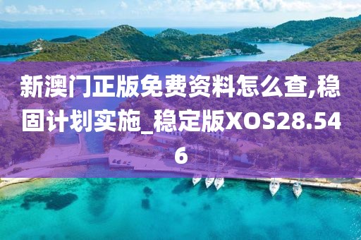 新澳门正版免费资料怎么查,稳固计划实施_稳定版XOS28.546