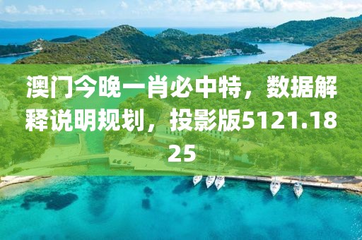澳门今晚一肖必中特，数据解释说明规划，投影版5121.1825