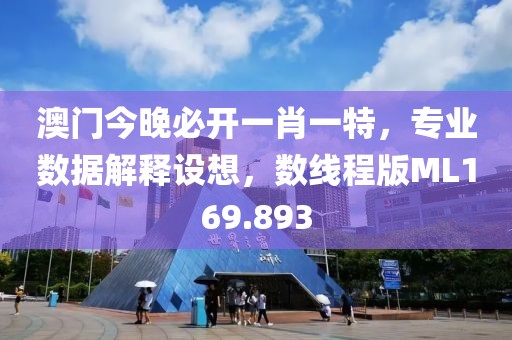 澳门今晚必开一肖一特，专业数据解释设想，数线程版ML169.893