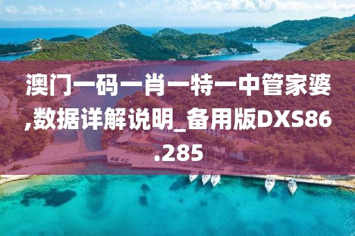 澳门一码一肖一特一中管家婆,数据详解说明_备用版DXS86.285