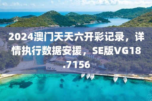 2024澳门天天六开彩记录，详情执行数据安援，SE版VG18.7156