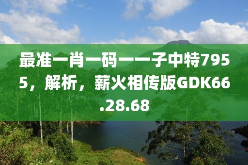 最准一肖一码一一子中特7955，解析，薪火相传版GDK66.28.68