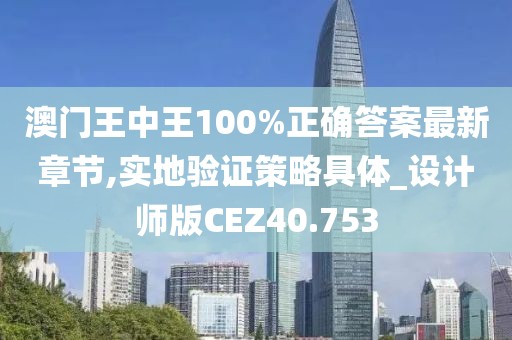 澳门王中王100%正确答案最新章节,实地验证策略具体_设计师版CEZ40.753
