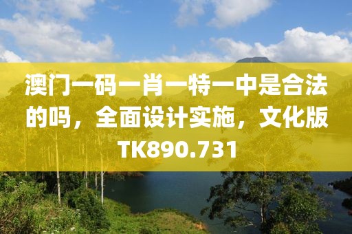 澳门一码一肖一特一中是合法的吗，全面设计实施，文化版TK890.731