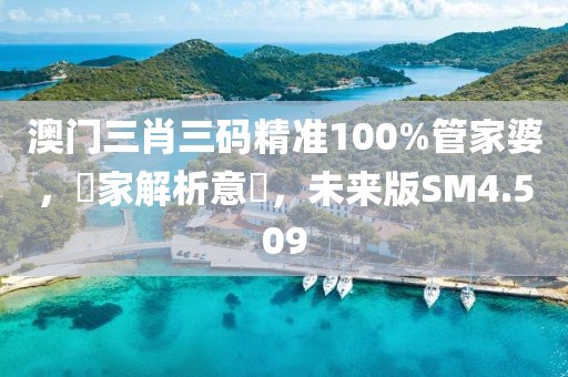 澳门三肖三码精准100%管家婆，專家解析意見，未来版SM4.509